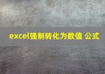 excel强制转化为数值 公式